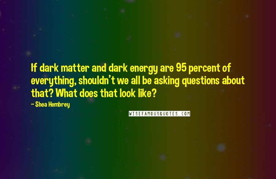Shea Hembrey Quotes: If dark matter and dark energy are 95 percent of everything, shouldn't we all be asking questions about that? What does that look like?