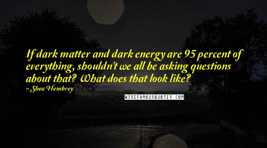 Shea Hembrey Quotes: If dark matter and dark energy are 95 percent of everything, shouldn't we all be asking questions about that? What does that look like?