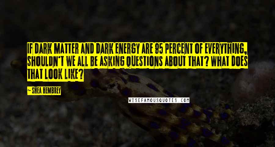 Shea Hembrey Quotes: If dark matter and dark energy are 95 percent of everything, shouldn't we all be asking questions about that? What does that look like?