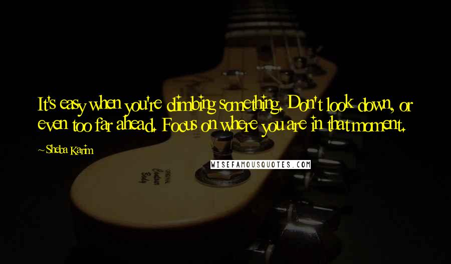Sheba Karim Quotes: It's easy when you're climbing something. Don't look down, or even too far ahead. Focus on where you are in that moment.