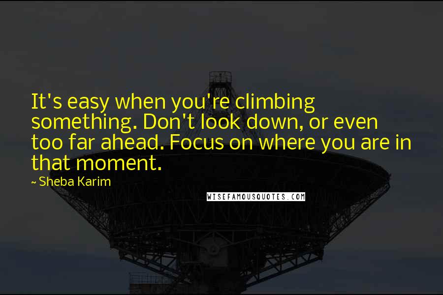 Sheba Karim Quotes: It's easy when you're climbing something. Don't look down, or even too far ahead. Focus on where you are in that moment.
