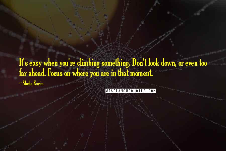 Sheba Karim Quotes: It's easy when you're climbing something. Don't look down, or even too far ahead. Focus on where you are in that moment.