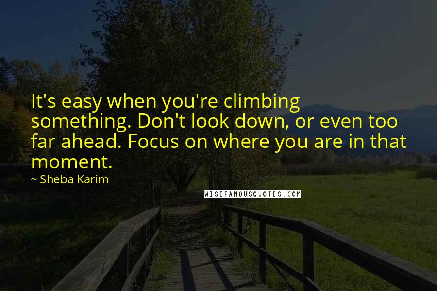 Sheba Karim Quotes: It's easy when you're climbing something. Don't look down, or even too far ahead. Focus on where you are in that moment.