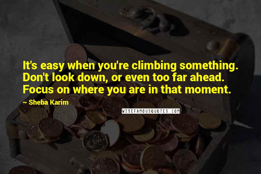 Sheba Karim Quotes: It's easy when you're climbing something. Don't look down, or even too far ahead. Focus on where you are in that moment.