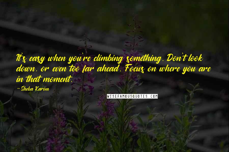 Sheba Karim Quotes: It's easy when you're climbing something. Don't look down, or even too far ahead. Focus on where you are in that moment.