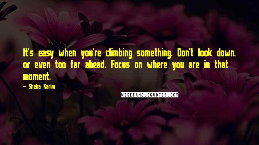 Sheba Karim Quotes: It's easy when you're climbing something. Don't look down, or even too far ahead. Focus on where you are in that moment.