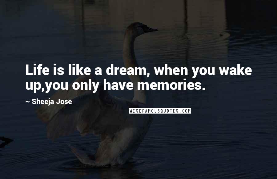 Sheeja Jose Quotes: Life is like a dream, when you wake up,you only have memories.