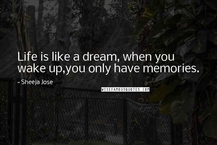 Sheeja Jose Quotes: Life is like a dream, when you wake up,you only have memories.