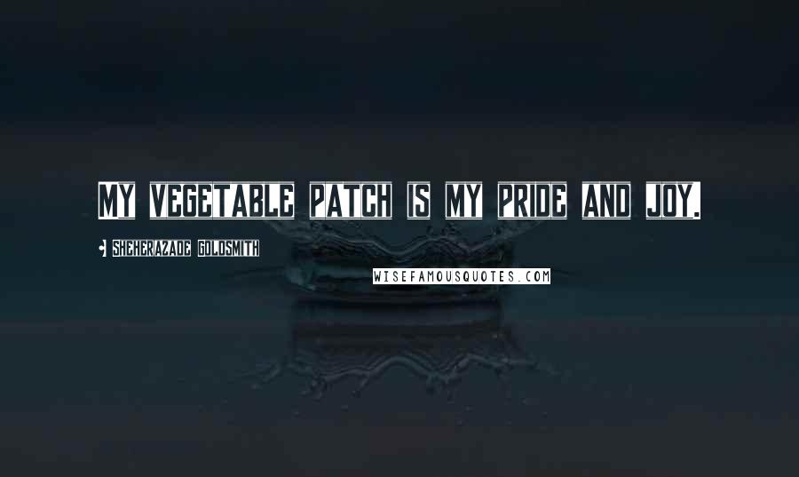 Sheherazade Goldsmith Quotes: My vegetable patch is my pride and joy.