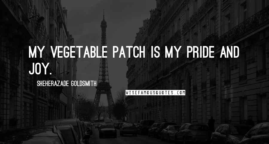 Sheherazade Goldsmith Quotes: My vegetable patch is my pride and joy.