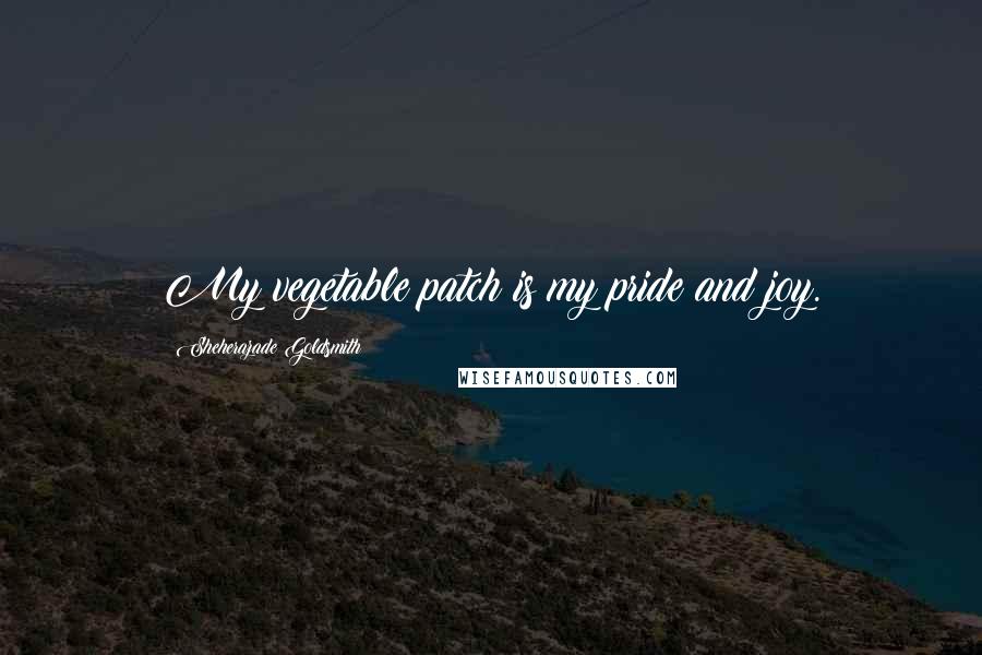 Sheherazade Goldsmith Quotes: My vegetable patch is my pride and joy.