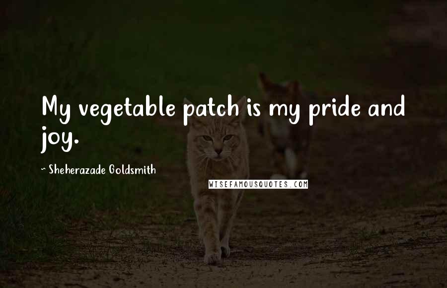 Sheherazade Goldsmith Quotes: My vegetable patch is my pride and joy.