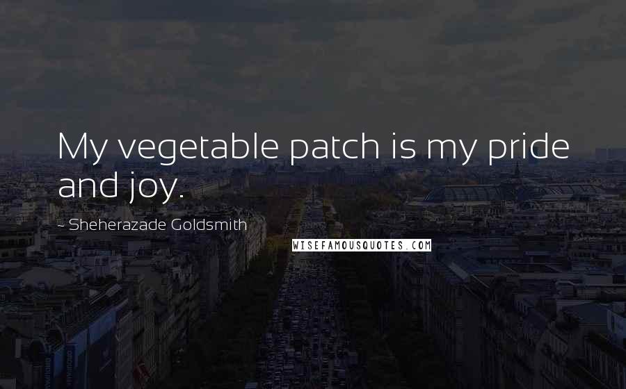 Sheherazade Goldsmith Quotes: My vegetable patch is my pride and joy.