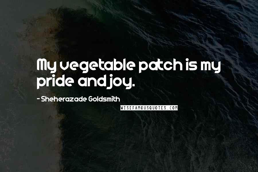 Sheherazade Goldsmith Quotes: My vegetable patch is my pride and joy.