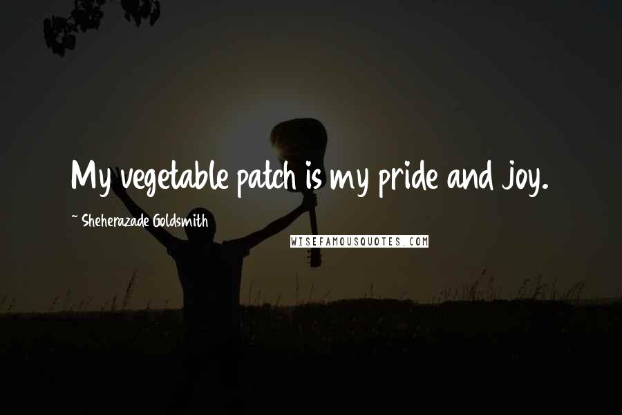 Sheherazade Goldsmith Quotes: My vegetable patch is my pride and joy.