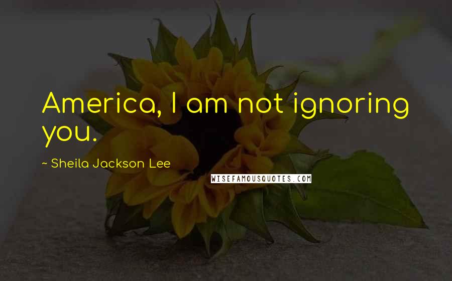 Sheila Jackson Lee Quotes: America, I am not ignoring you.