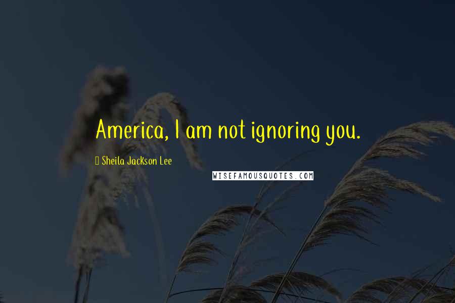 Sheila Jackson Lee Quotes: America, I am not ignoring you.