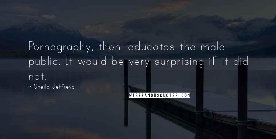 Sheila Jeffreys Quotes: Pornography, then, educates the male public. It would be very surprising if it did not.