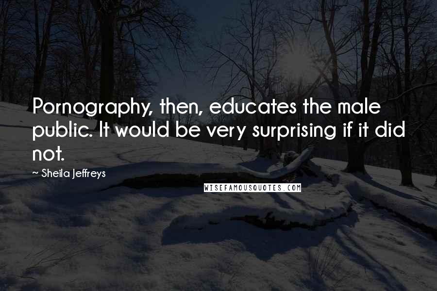 Sheila Jeffreys Quotes: Pornography, then, educates the male public. It would be very surprising if it did not.