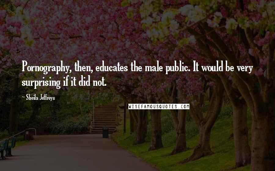 Sheila Jeffreys Quotes: Pornography, then, educates the male public. It would be very surprising if it did not.