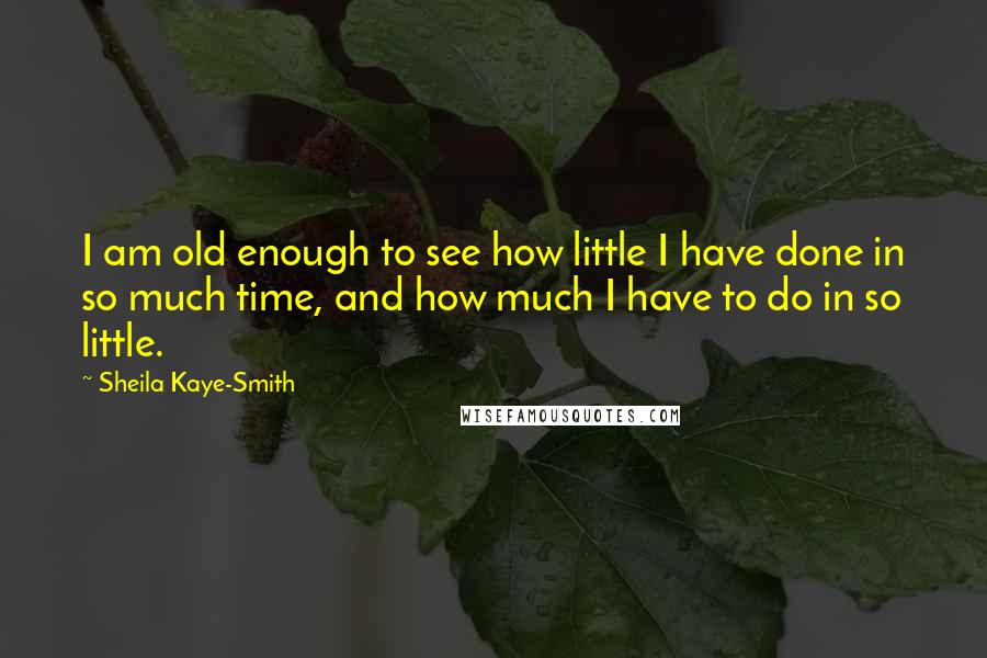 Sheila Kaye-Smith Quotes: I am old enough to see how little I have done in so much time, and how much I have to do in so little.