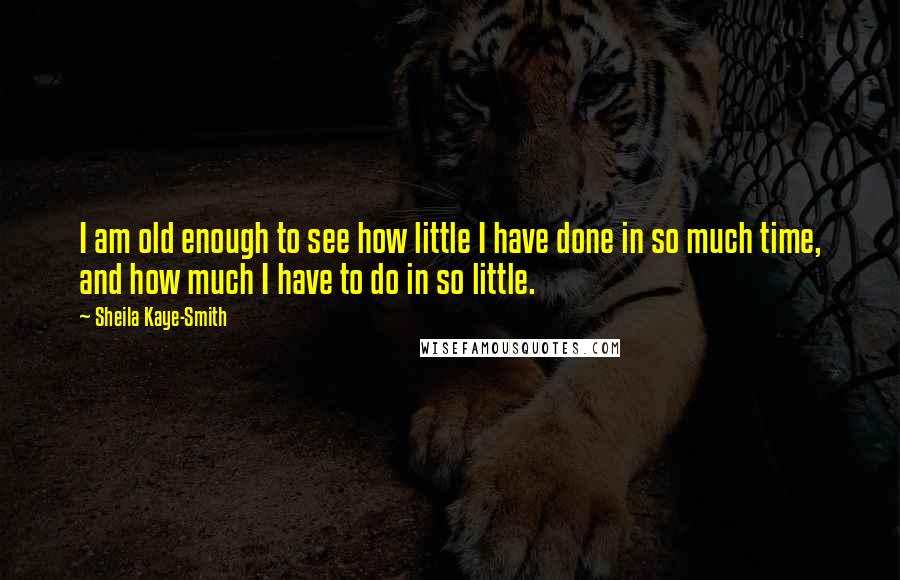 Sheila Kaye-Smith Quotes: I am old enough to see how little I have done in so much time, and how much I have to do in so little.