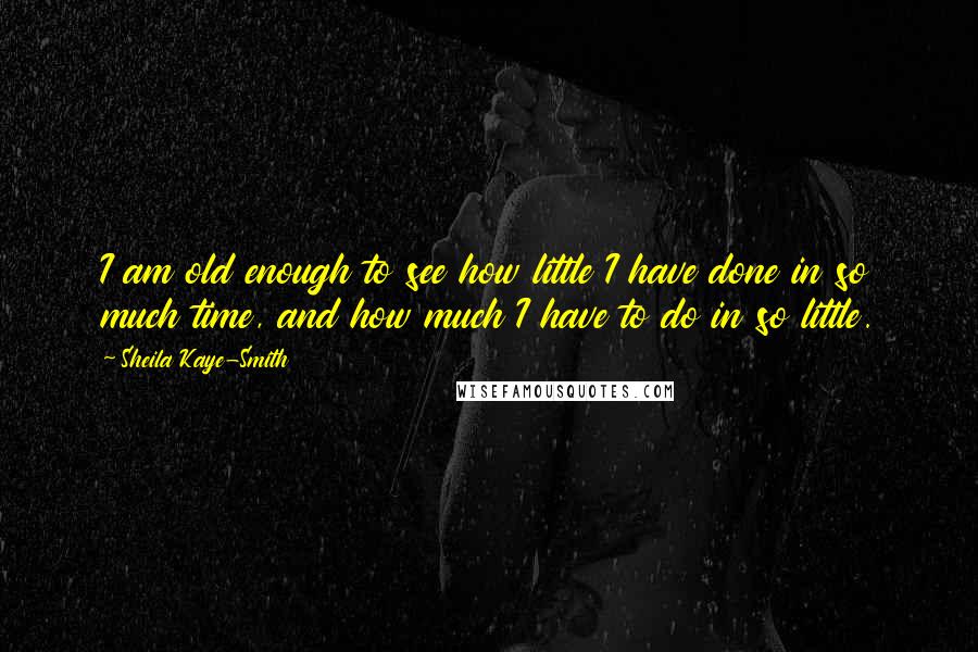 Sheila Kaye-Smith Quotes: I am old enough to see how little I have done in so much time, and how much I have to do in so little.