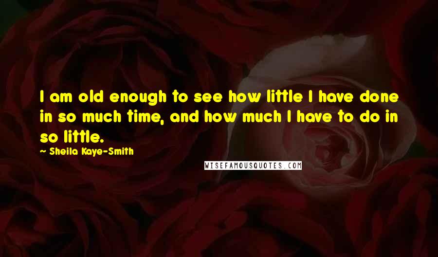 Sheila Kaye-Smith Quotes: I am old enough to see how little I have done in so much time, and how much I have to do in so little.