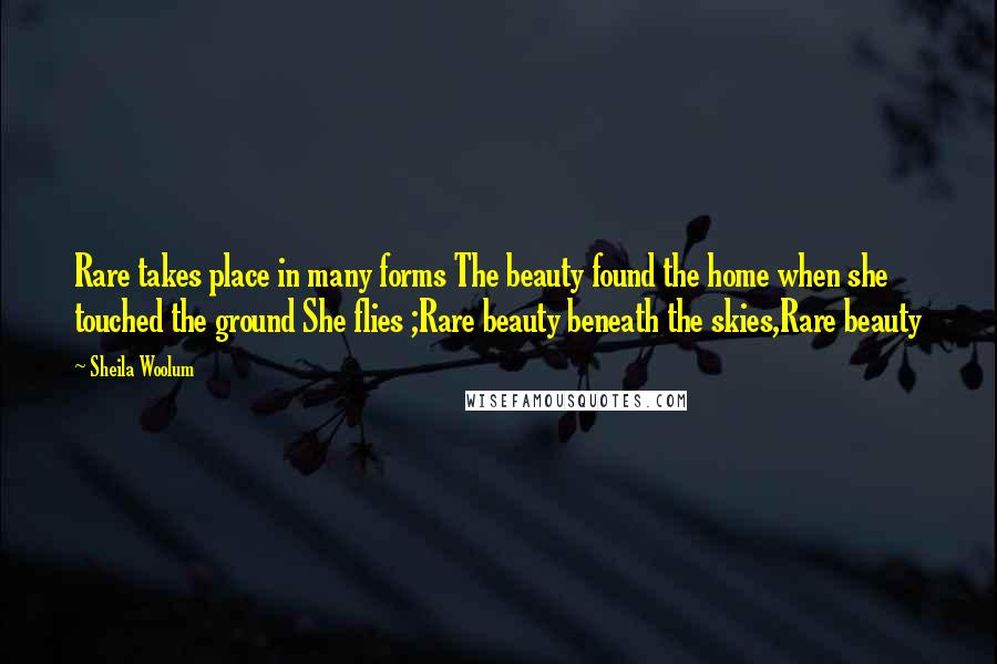 Sheila Woolum Quotes: Rare takes place in many forms The beauty found the home when she touched the ground She flies ;Rare beauty beneath the skies,Rare beauty