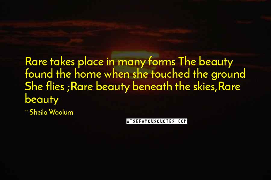 Sheila Woolum Quotes: Rare takes place in many forms The beauty found the home when she touched the ground She flies ;Rare beauty beneath the skies,Rare beauty