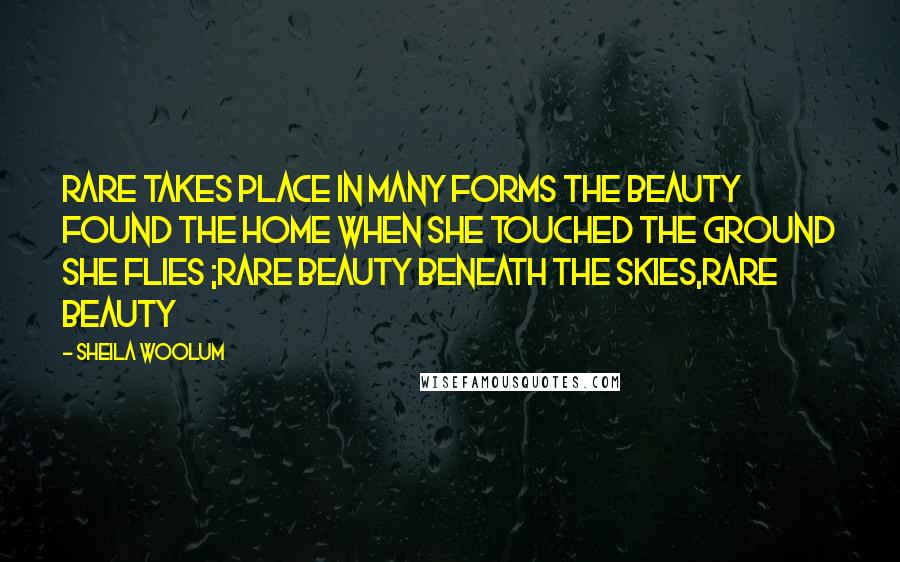 Sheila Woolum Quotes: Rare takes place in many forms The beauty found the home when she touched the ground She flies ;Rare beauty beneath the skies,Rare beauty