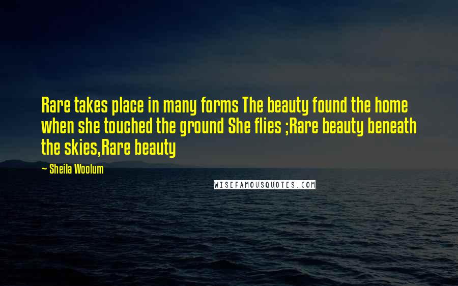 Sheila Woolum Quotes: Rare takes place in many forms The beauty found the home when she touched the ground She flies ;Rare beauty beneath the skies,Rare beauty