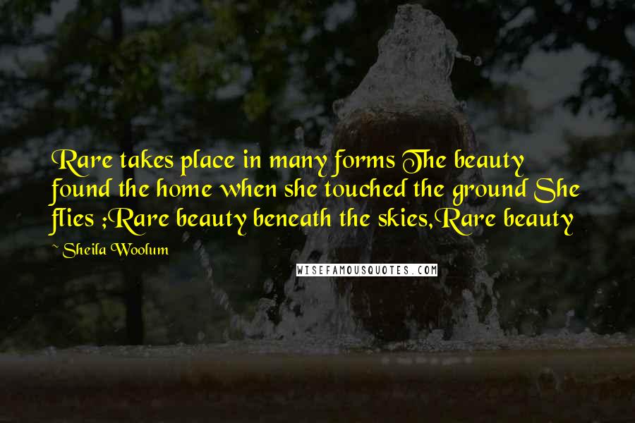 Sheila Woolum Quotes: Rare takes place in many forms The beauty found the home when she touched the ground She flies ;Rare beauty beneath the skies,Rare beauty