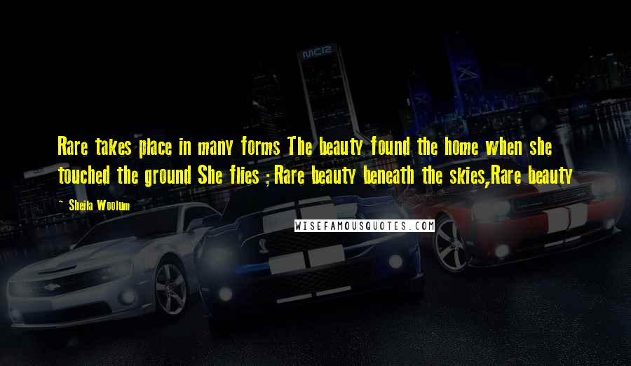 Sheila Woolum Quotes: Rare takes place in many forms The beauty found the home when she touched the ground She flies ;Rare beauty beneath the skies,Rare beauty