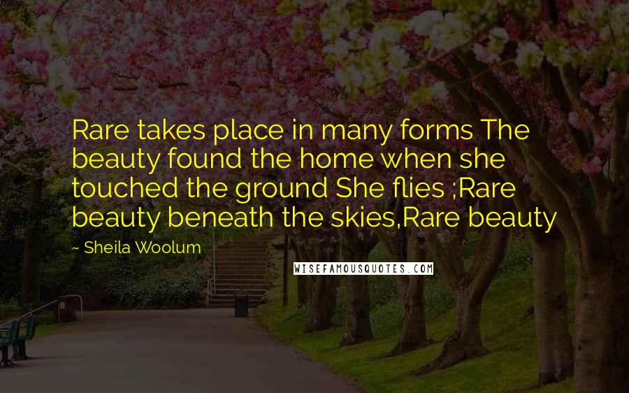 Sheila Woolum Quotes: Rare takes place in many forms The beauty found the home when she touched the ground She flies ;Rare beauty beneath the skies,Rare beauty