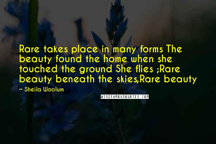 Sheila Woolum Quotes: Rare takes place in many forms The beauty found the home when she touched the ground She flies ;Rare beauty beneath the skies,Rare beauty