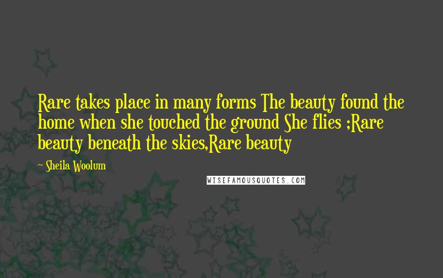 Sheila Woolum Quotes: Rare takes place in many forms The beauty found the home when she touched the ground She flies ;Rare beauty beneath the skies,Rare beauty