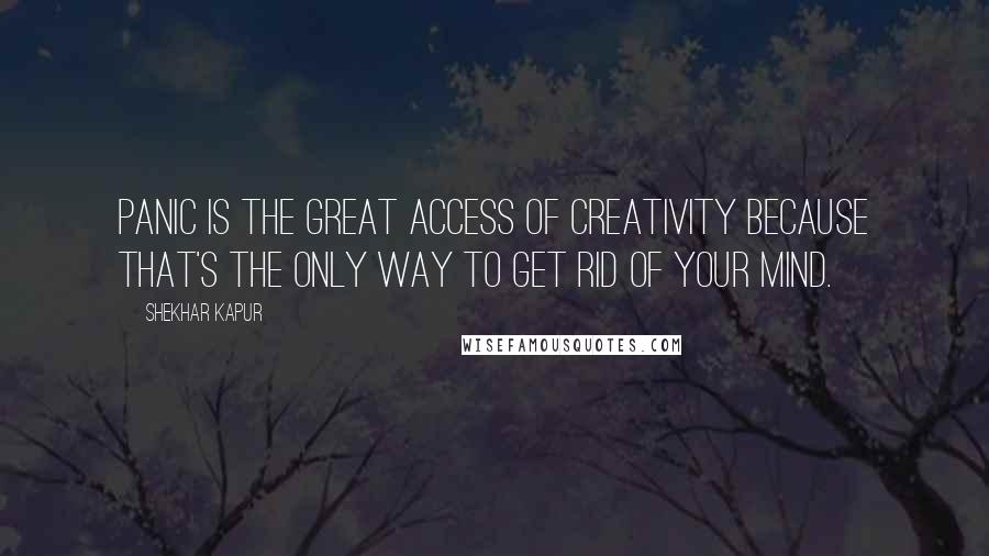 Shekhar Kapur Quotes: Panic is the great access of creativity because that's the only way to get rid of your mind.