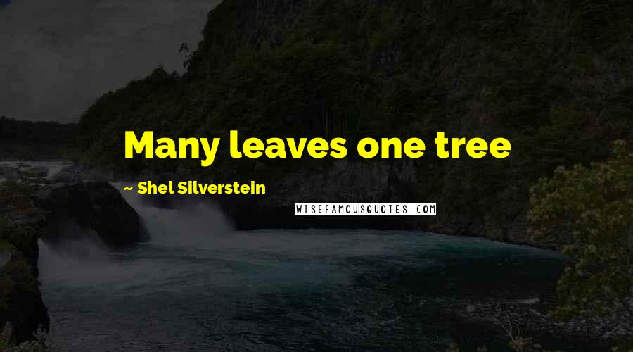 Shel Silverstein Quotes: Many leaves one tree