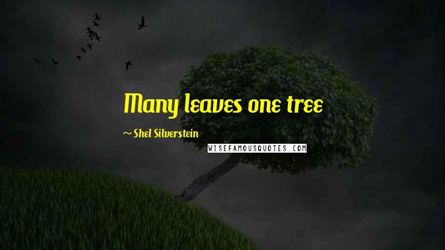 Shel Silverstein Quotes: Many leaves one tree