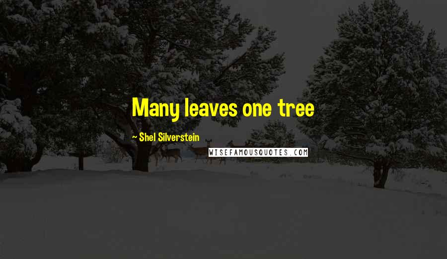 Shel Silverstein Quotes: Many leaves one tree