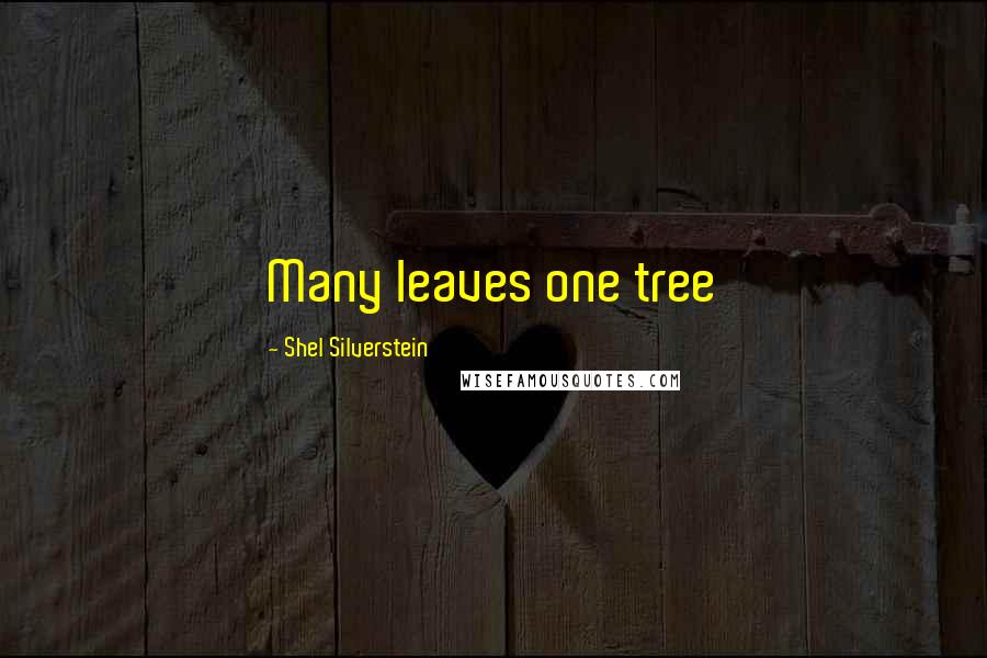 Shel Silverstein Quotes: Many leaves one tree