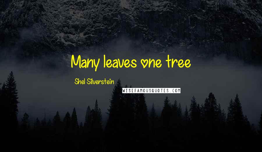 Shel Silverstein Quotes: Many leaves one tree