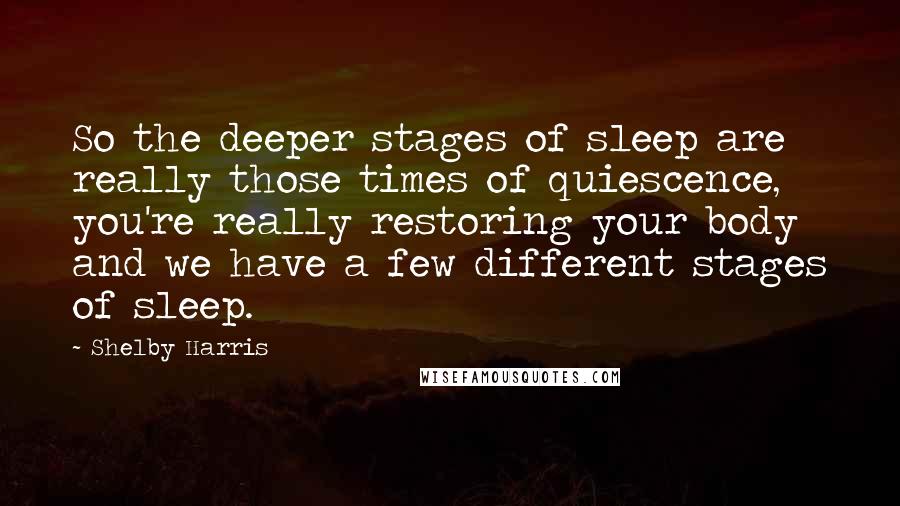 Shelby Harris Quotes: So the deeper stages of sleep are really those times of quiescence, you're really restoring your body and we have a few different stages of sleep.