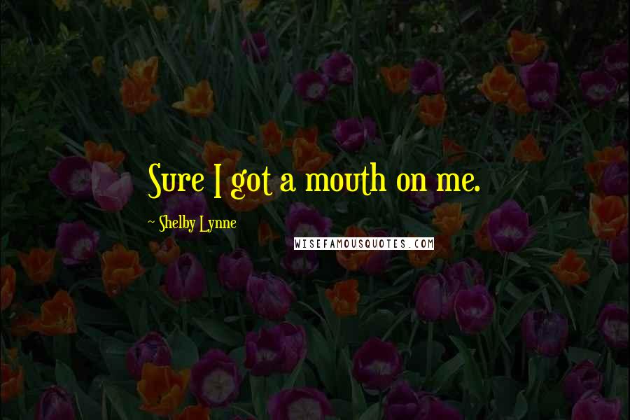 Shelby Lynne Quotes: Sure I got a mouth on me.