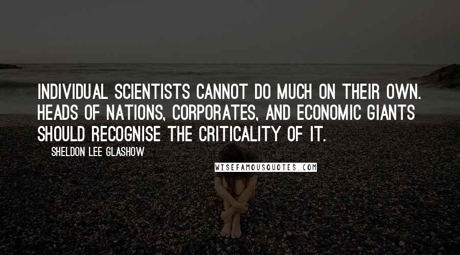 Sheldon Lee Glashow Quotes: Individual scientists cannot do much on their own. Heads of nations, corporates, and economic giants should recognise the criticality of it.