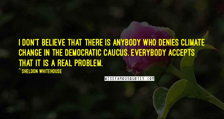 Sheldon Whitehouse Quotes: I don't believe that there is anybody who denies climate change in the Democratic caucus. Everybody accepts that it is a real problem.