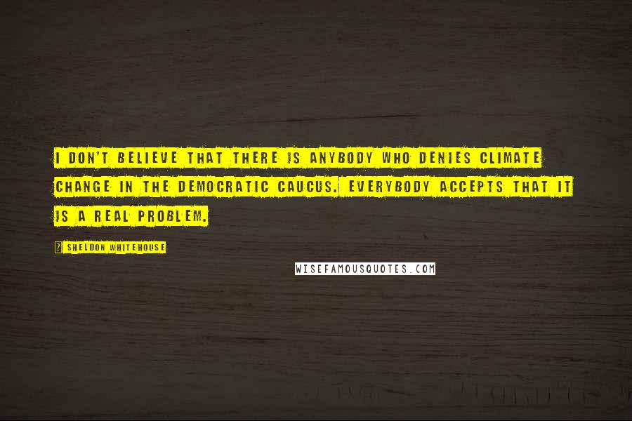 Sheldon Whitehouse Quotes: I don't believe that there is anybody who denies climate change in the Democratic caucus. Everybody accepts that it is a real problem.