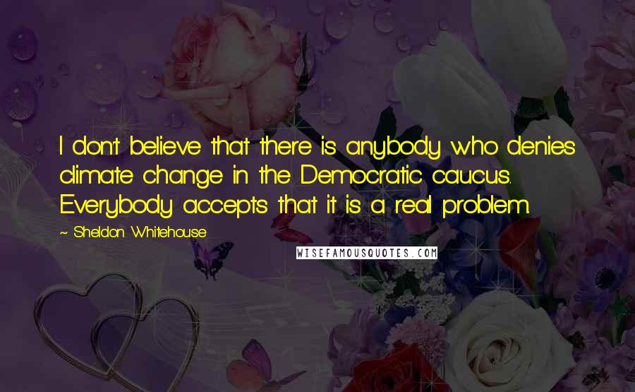 Sheldon Whitehouse Quotes: I don't believe that there is anybody who denies climate change in the Democratic caucus. Everybody accepts that it is a real problem.