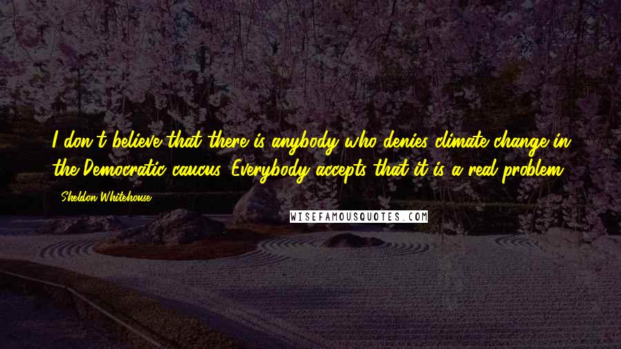 Sheldon Whitehouse Quotes: I don't believe that there is anybody who denies climate change in the Democratic caucus. Everybody accepts that it is a real problem.